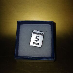 Silver Walmart 5 Years Pin